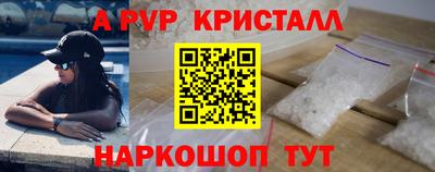 СК Гатчина