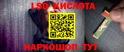 СК Гатчина