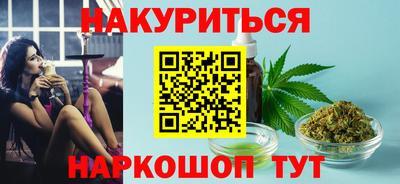 СК Гатчина