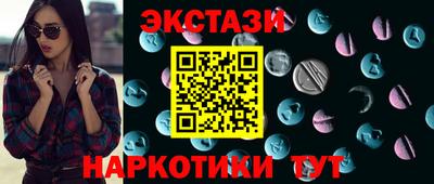 СК Гатчина