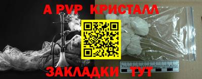 СК Гатчина