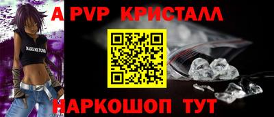СК Гатчина