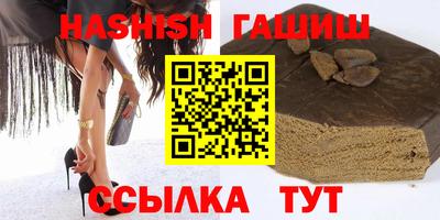 СК Гатчина