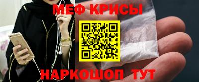 СК Гатчина