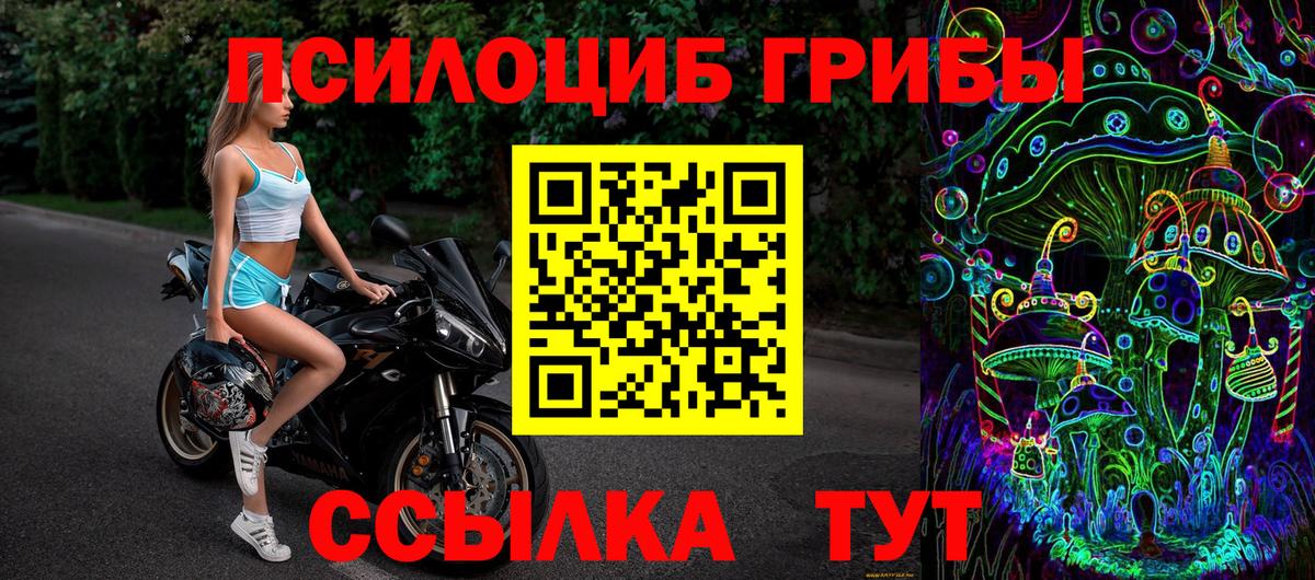 Галлюциногенные грибы MAGIC MUSHROOMS  Вход с VPN  Псилоцибиновые грибы Cubensis  Петрозаводск 